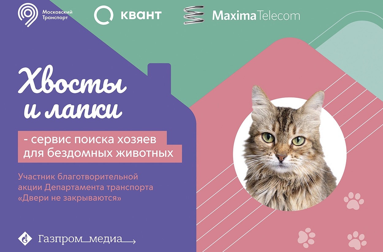 Акция «Хвосты и лапки» от компании «Квант»